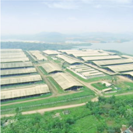 Trạm xử lý nước thải chăn nuôi Tảu Điệu - Bắc Giang